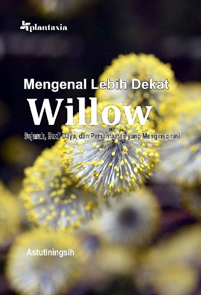 Mengenal Lebih Dekat Willow; Sejarah, Budi Daya, dan Pemanfaatan yang Menginspirasi